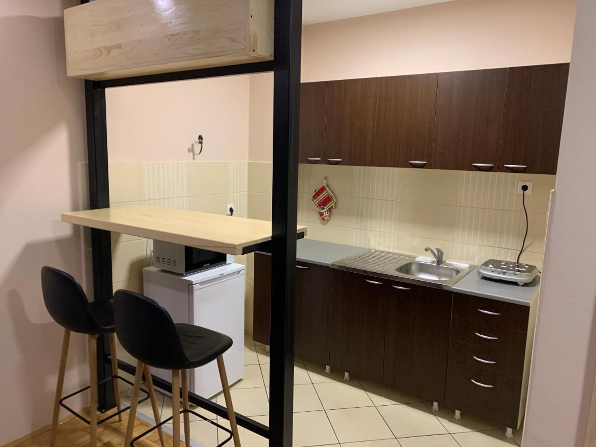 Mila Apartment Novi Sad Exteriör bild